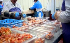 seafood processing 