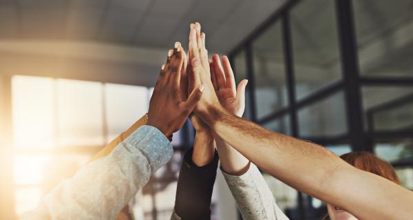 Newcomer Success Stories